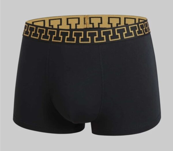 Boxer Shein
