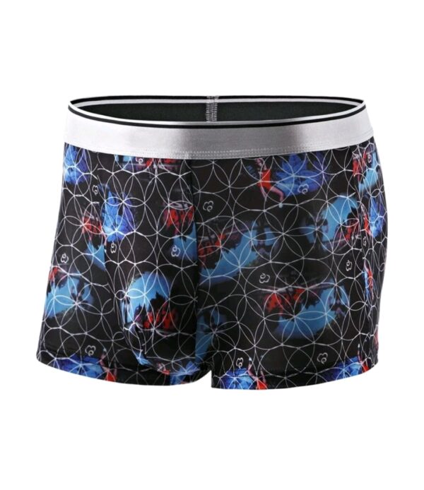 Boxer Shein