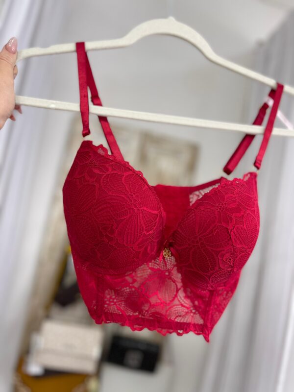 Corset Daisy Fuentes